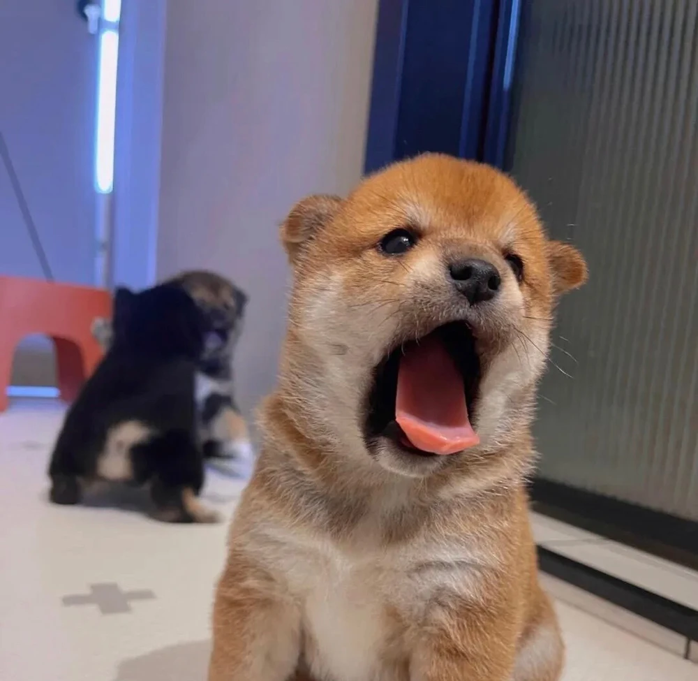 Mufananidzo wakaiswa na 晓瑞