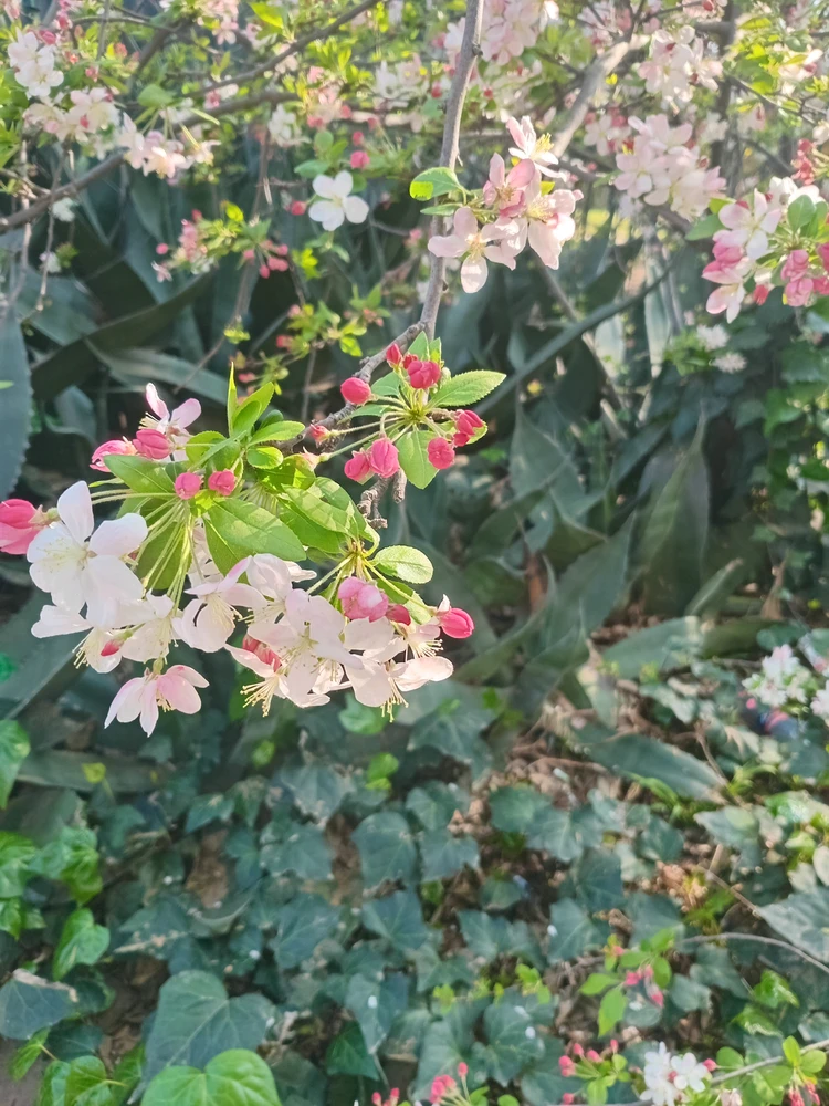 Lia ಅಪ್‌ಲೋಡ್ ಮಾಡಿದ ಚಿತ್ರ
