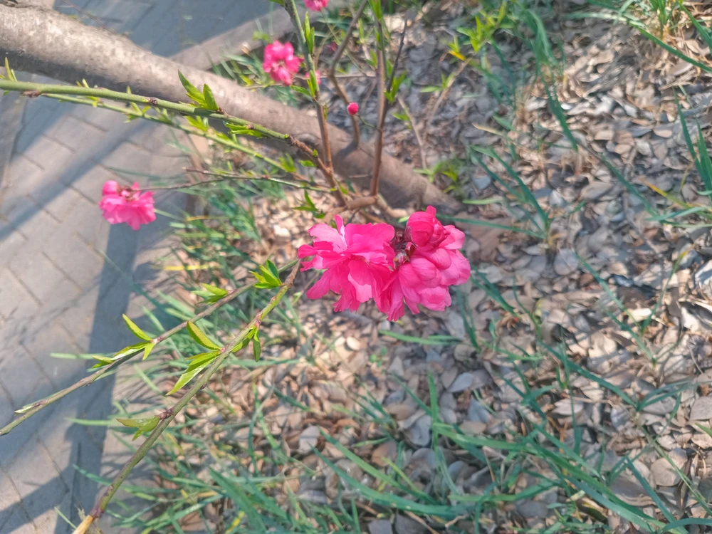 Lia ಅಪ್‌ಲೋಡ್ ಮಾಡಿದ ಚಿತ್ರ