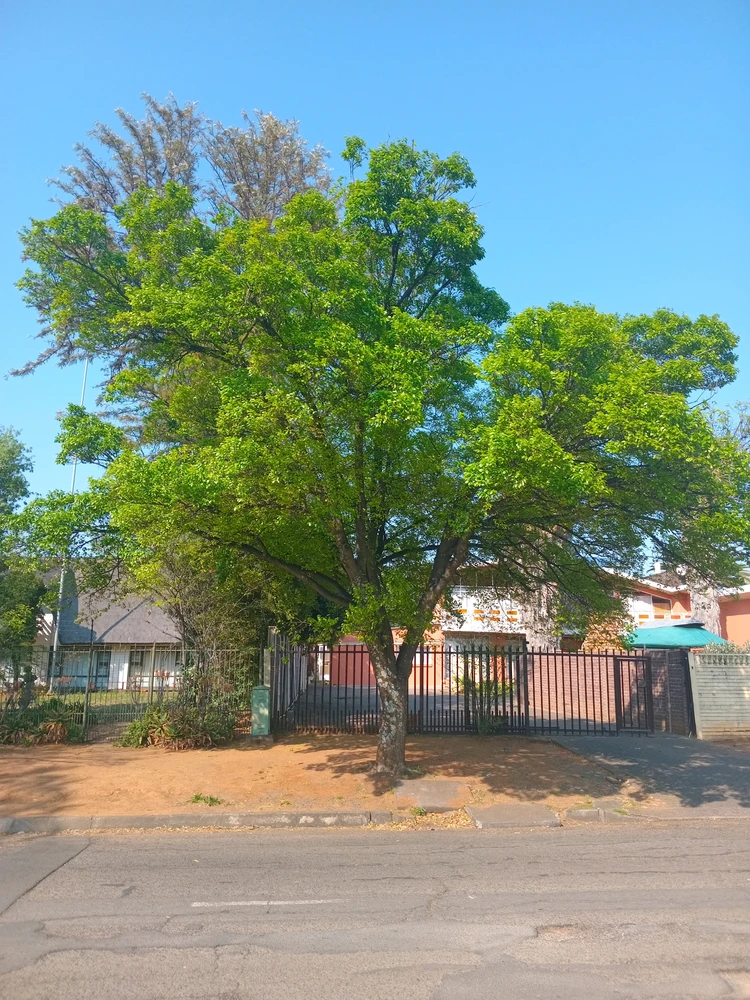 Lia ಅಪ್‌ಲೋಡ್ ಮಾಡಿದ ಚಿತ್ರ
