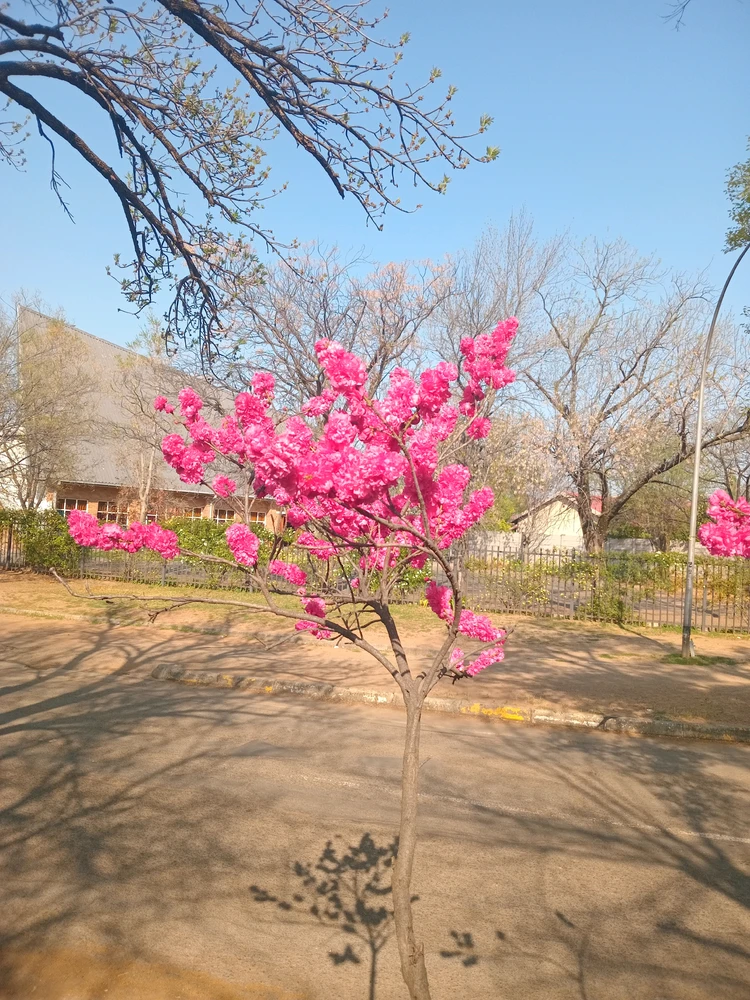 Lia ಅಪ್‌ಲೋಡ್ ಮಾಡಿದ ಚಿತ್ರ