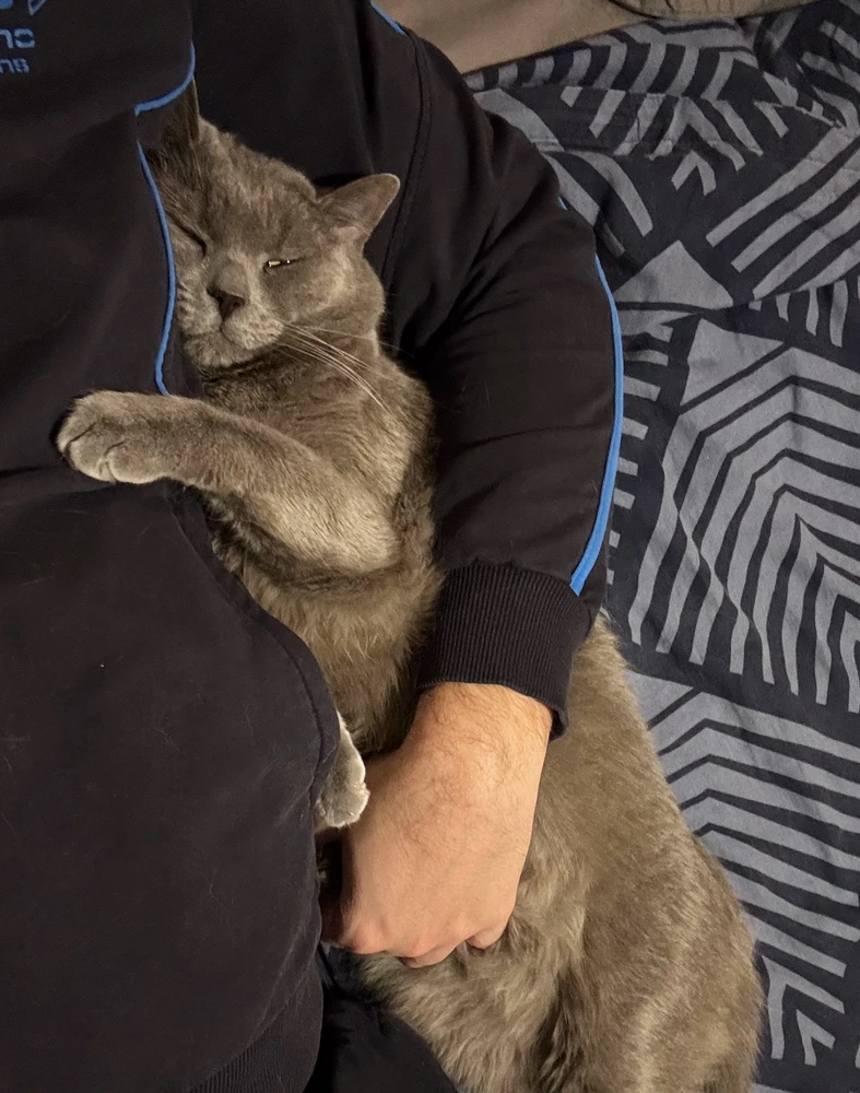 د Dimitar لخوا GIF اپلوډ شوی