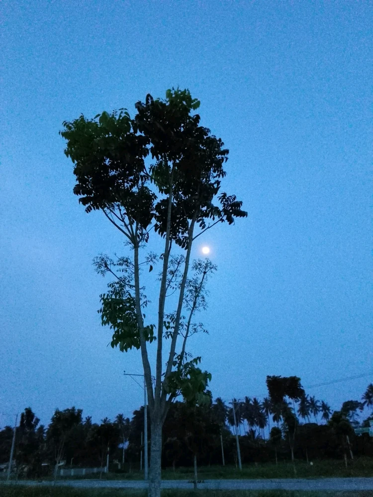 Image uploaded by Jann