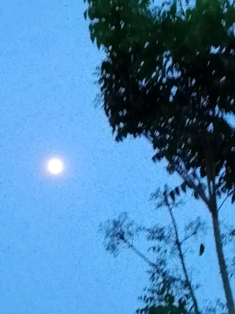 Image uploaded by Jann