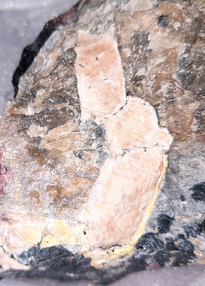 Katlyne上传的GIF