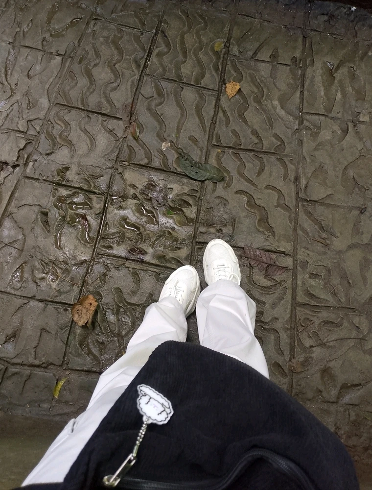 Ree tərəfindən yüklənən şəkil