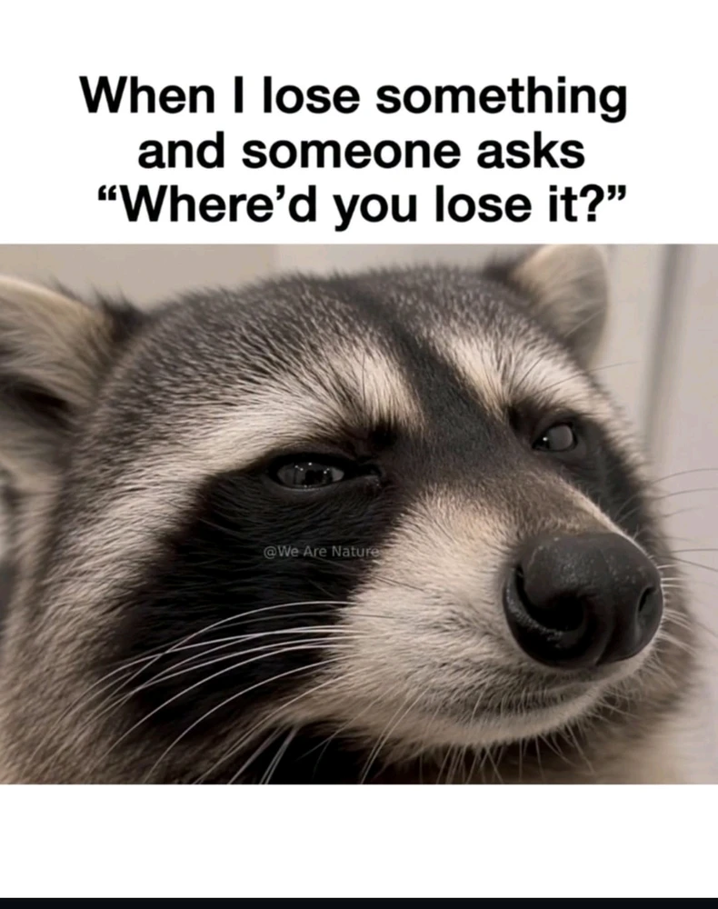 GIF uploaded by Dona 🦝👻🦝