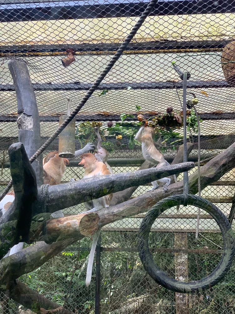GIF uploaded by DeepBlueSea