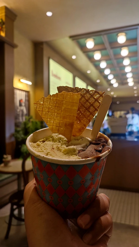 Image uploaded by ꨄ𝐃ꨄ