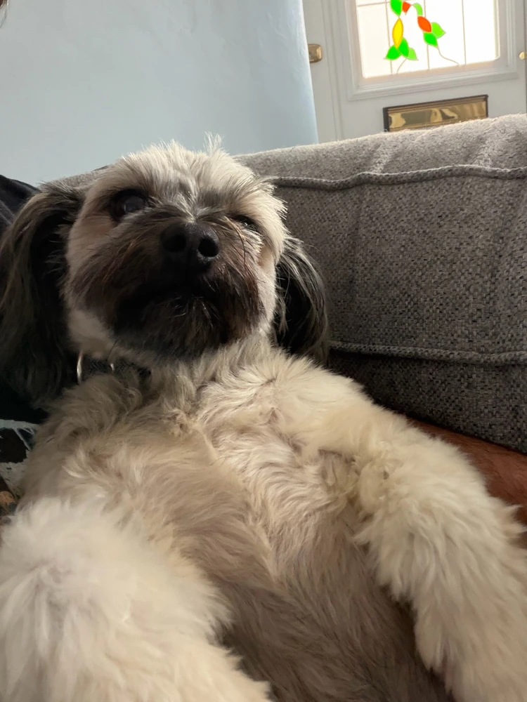 GIF uploaded by Harry