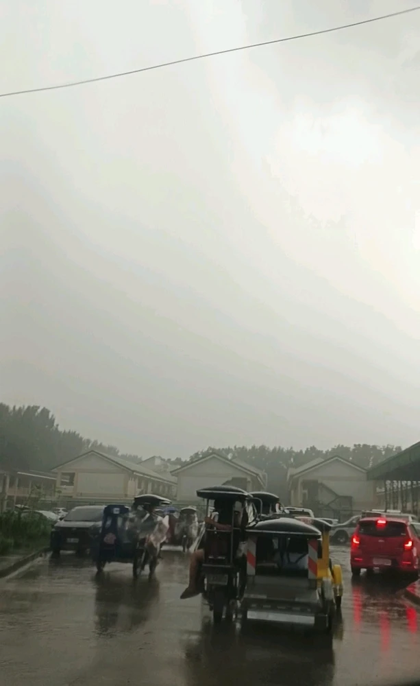由Ren上传的图片
