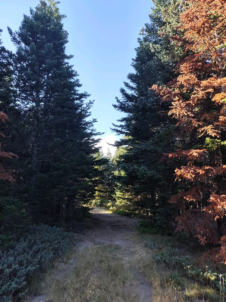 Image uploaded by Lynn
