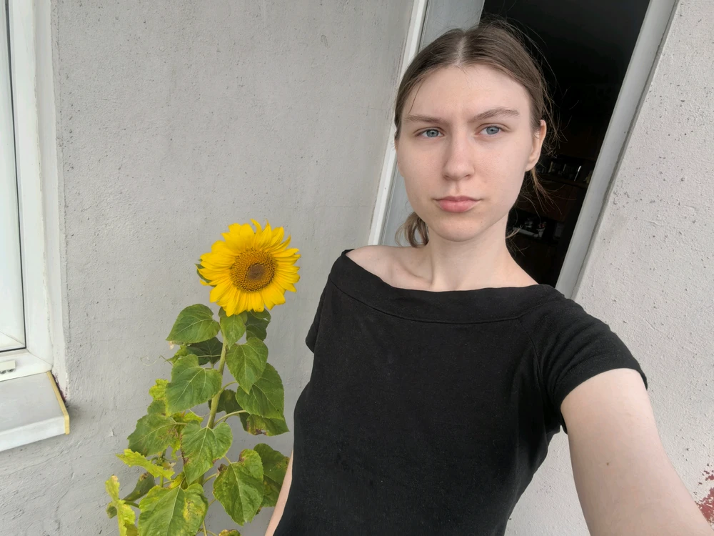 由Rose上传的图片