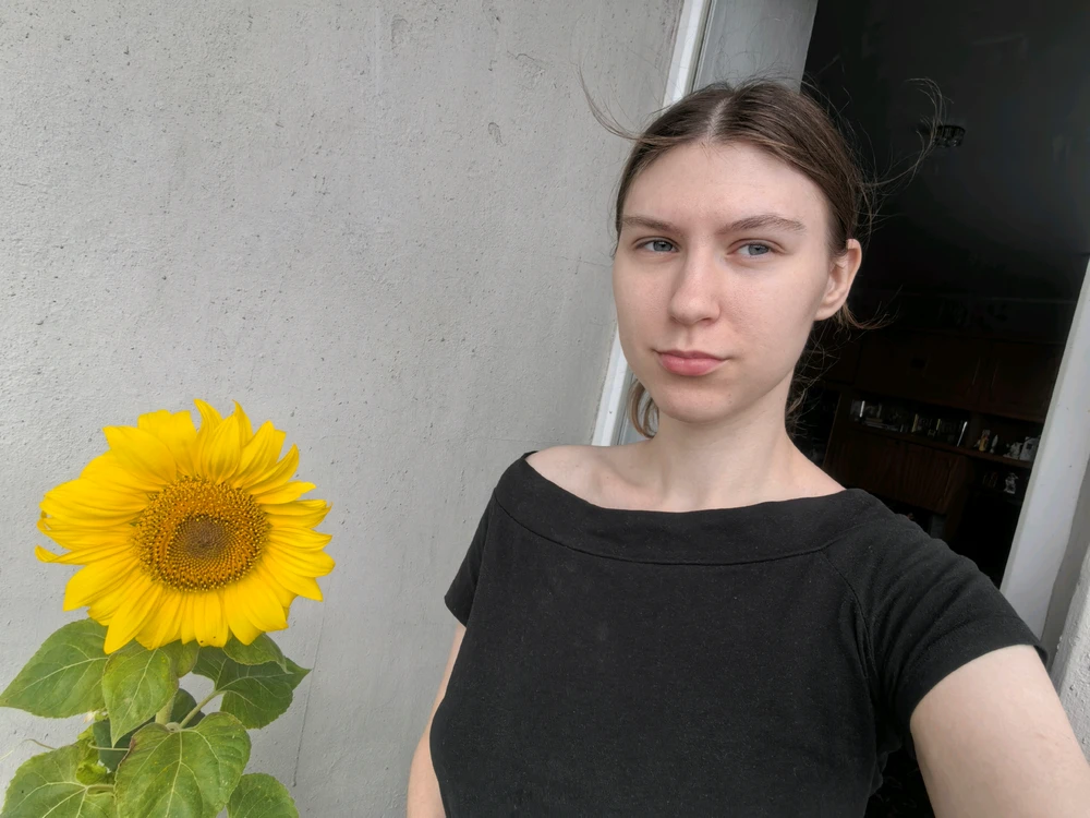 由Rose上传的图片