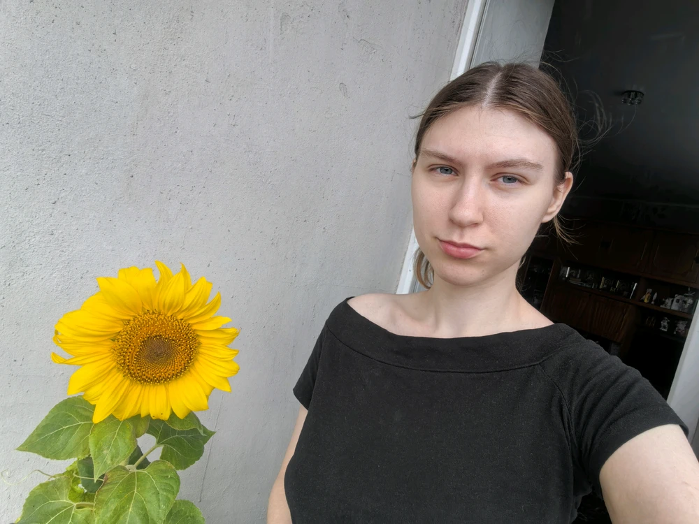 由Rose上传的图片