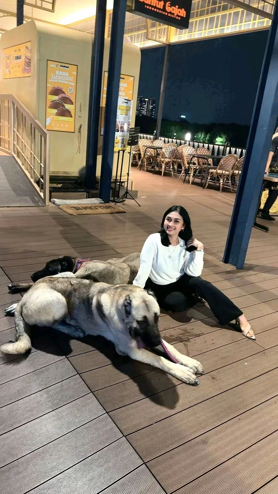 Helen അപ്ലോഡ് ചെയ്ത GIF