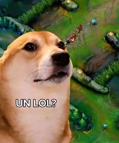 Pablo上传的GIF