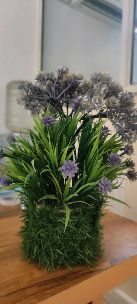 SiD അപ്ലോഡ് ചെയ്ത GIF