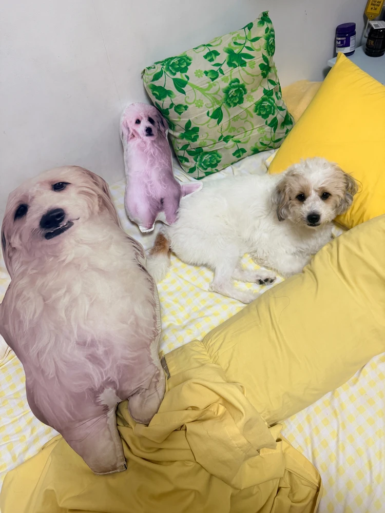 GIF ilipakiwa na Laney