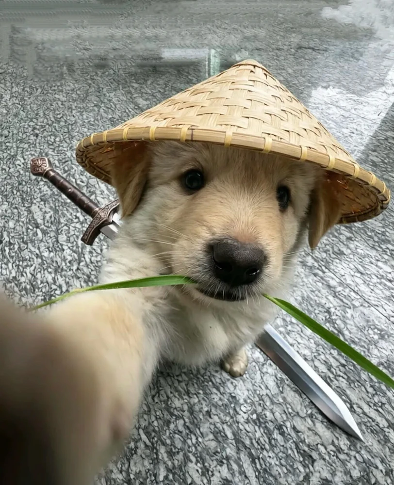 清风 上傳的 GIF