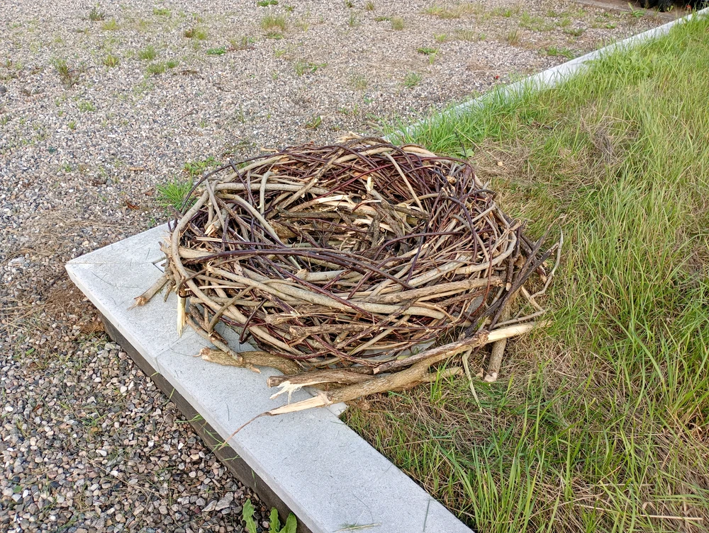 Image uploaded by mikkel