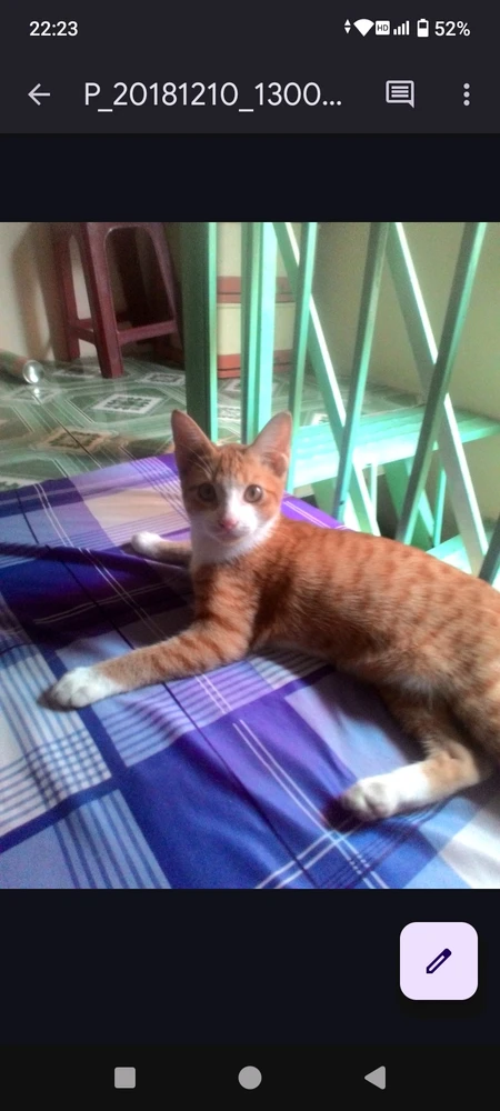 GIF pujat per Nguyễn Quốc Minh