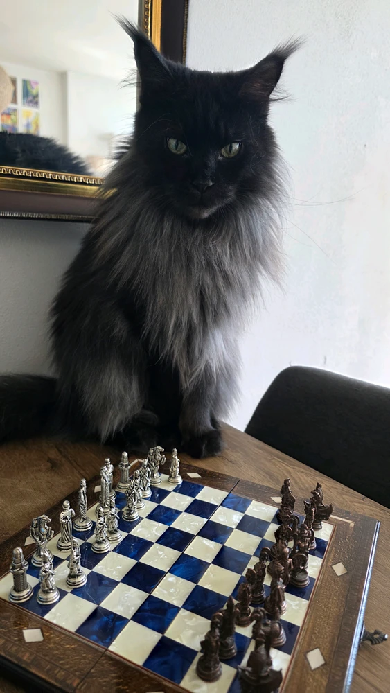 GIF uppladdad av Jamie