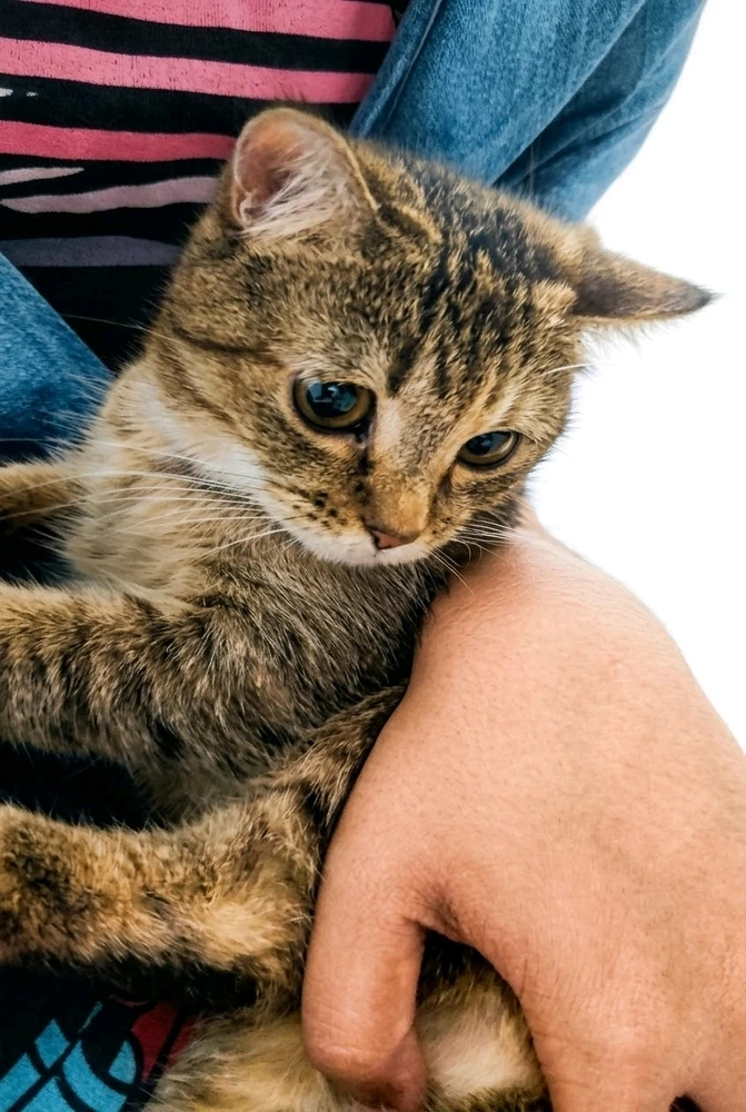 GIF uppladdad av ꨄ𝐃ꨄ