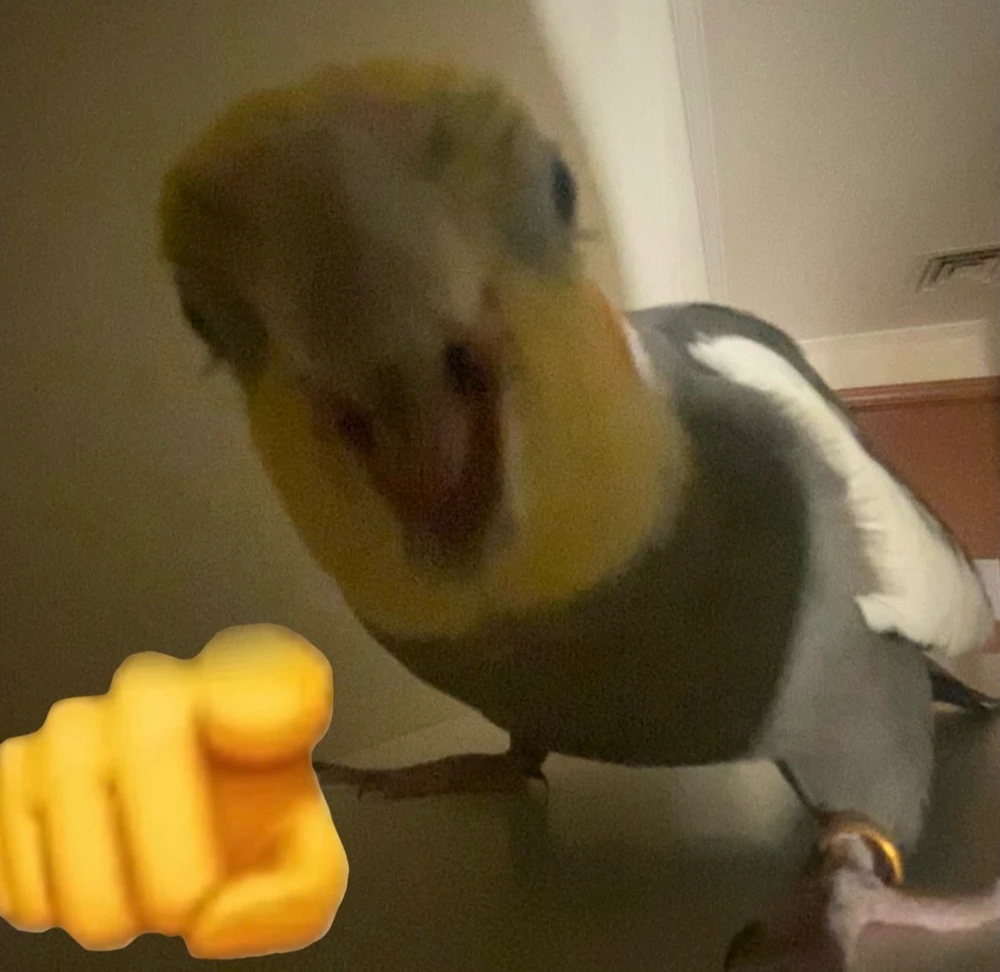 Faraj上传的GIF