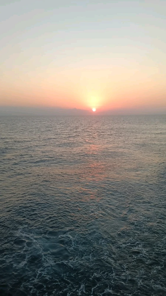 GIF uploaded by Windy