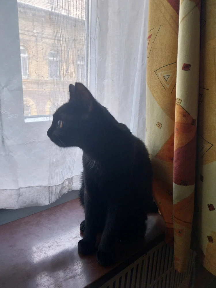 GIF üles laaditud kasutajalt Illes