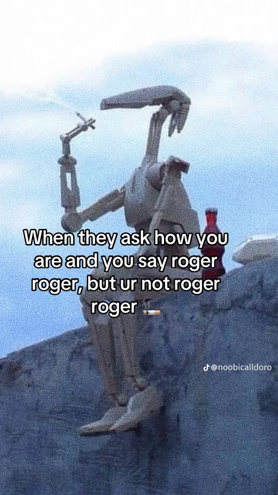 GIF tí Kiwi gbé sókè