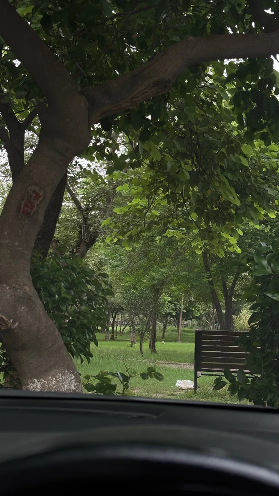 GIF dodany przez Rizwan