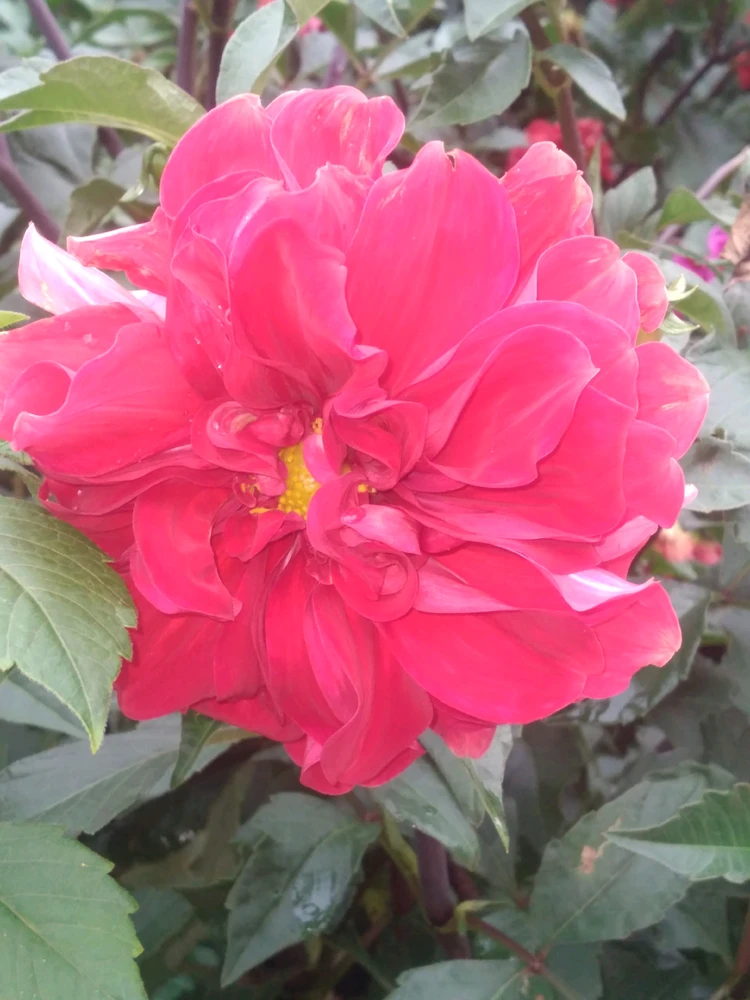 Image uploaded by Letty
