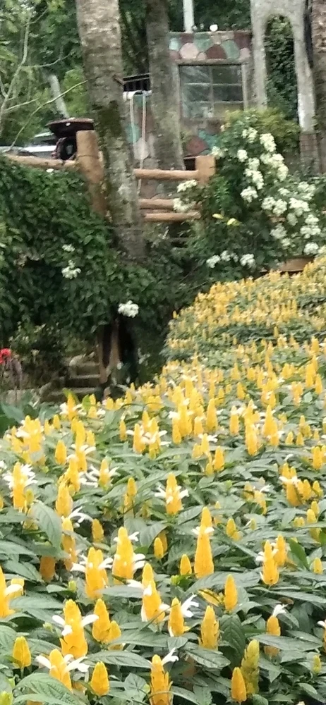 Image uploaded by Letty