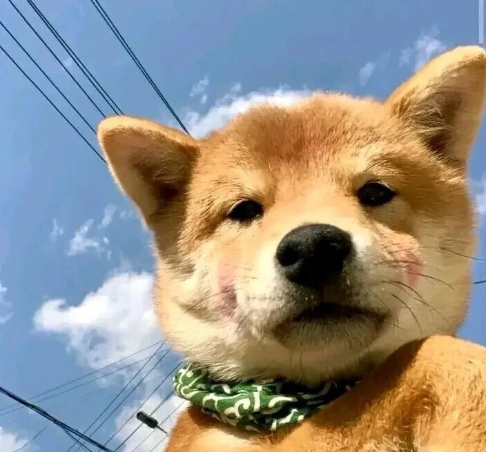 GIF อัปโหลดโดย 晓瑞