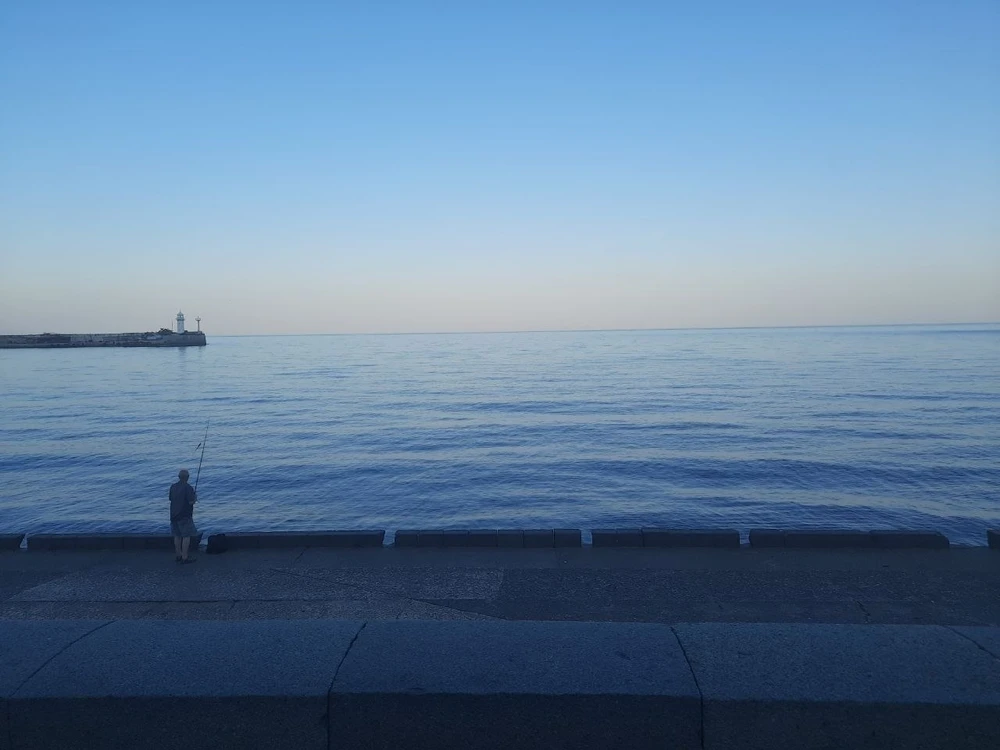 Immaġni mtellgħa minn Avis