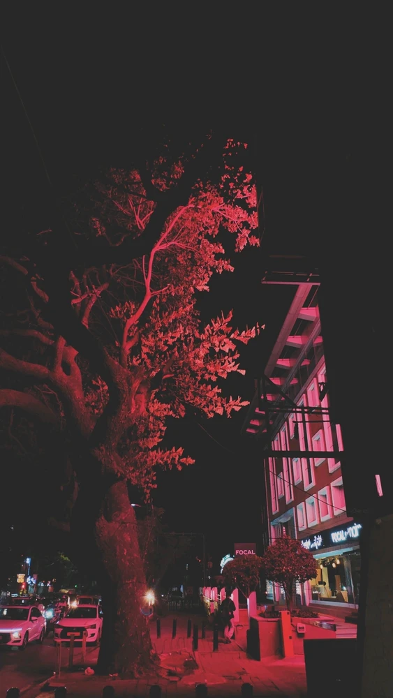 GIF uploaded by Simranjit