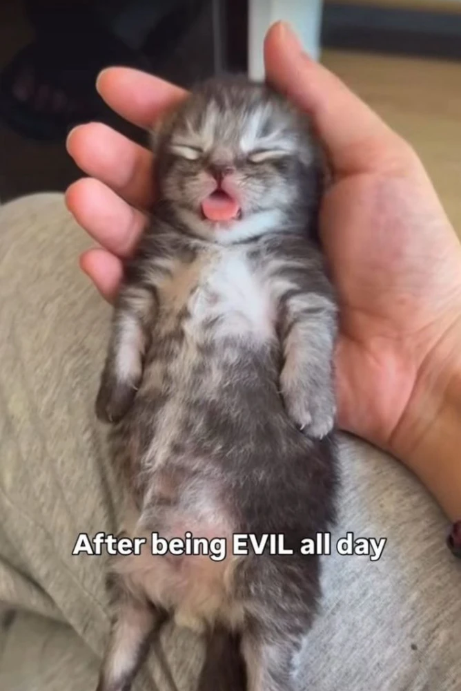 GIF качен от Asher
