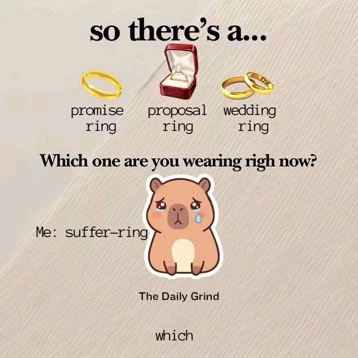 Mitch විසින් GIF එක upload කරන ලදී