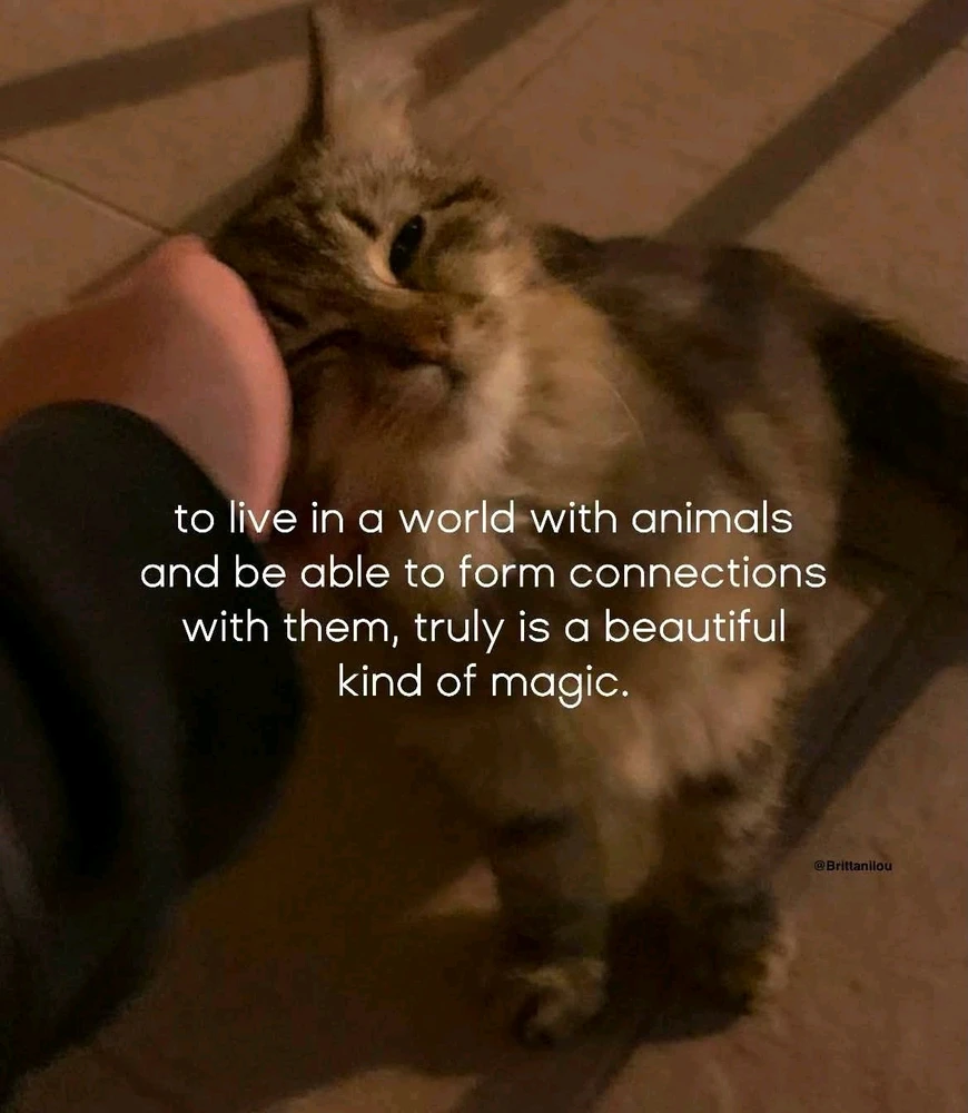 GIF pujat per Min
