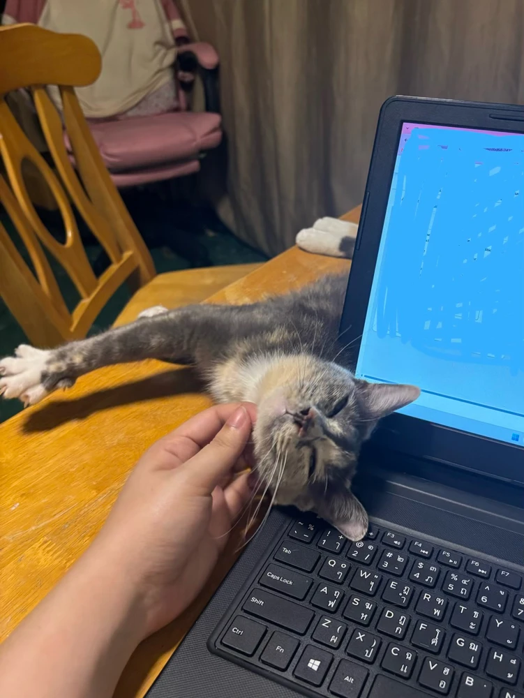 Pat♡ يۈكلىگەن GIF