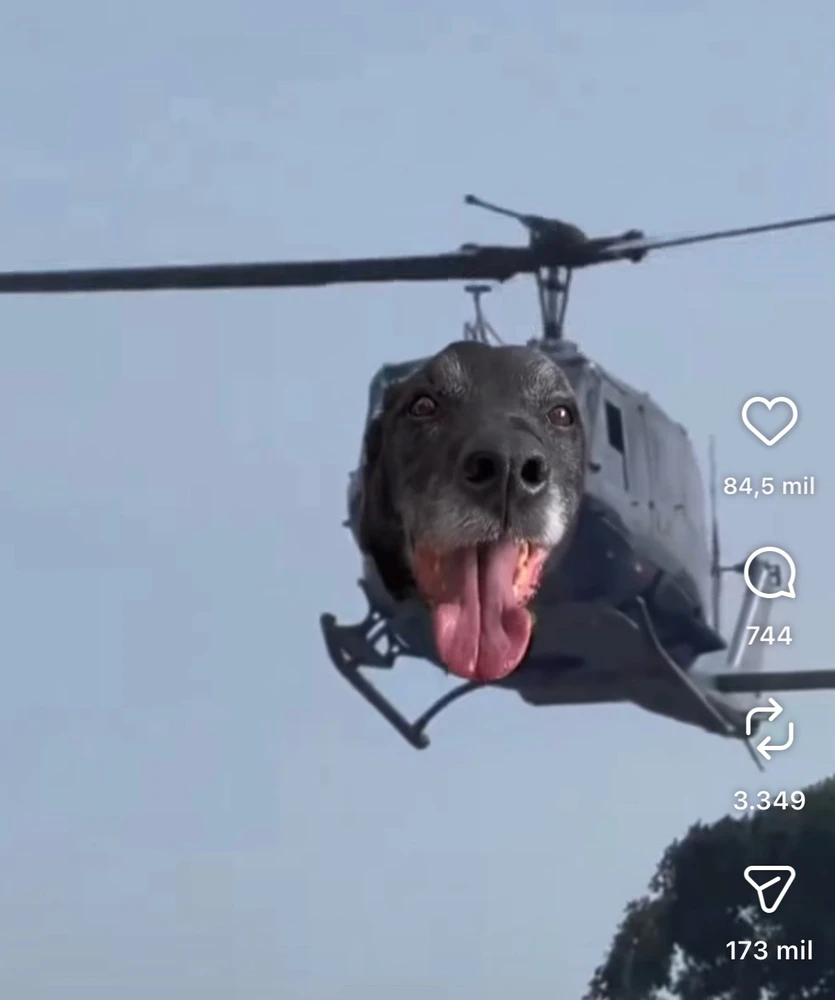 GIF uploaded by Nate