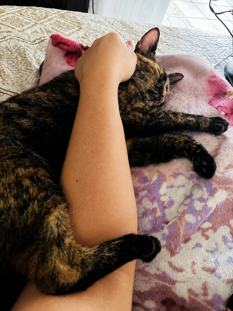 GIF na auina ae e Juliana
