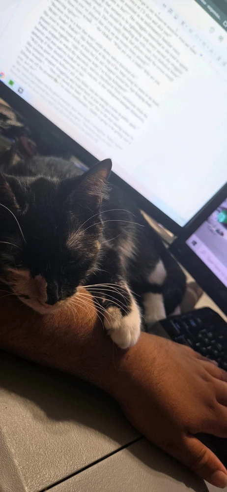Eddie жүктөгөн GIF