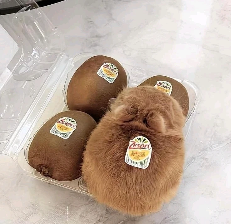 GIF uploaded by Sami
