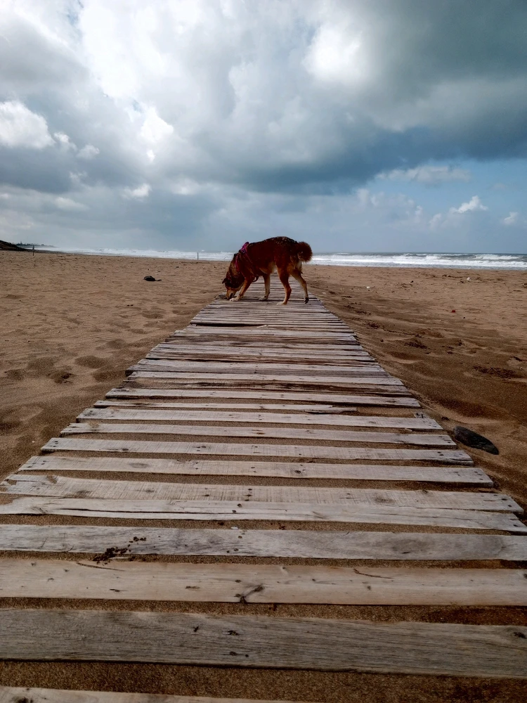 GIF geüpload door Annette Birkin