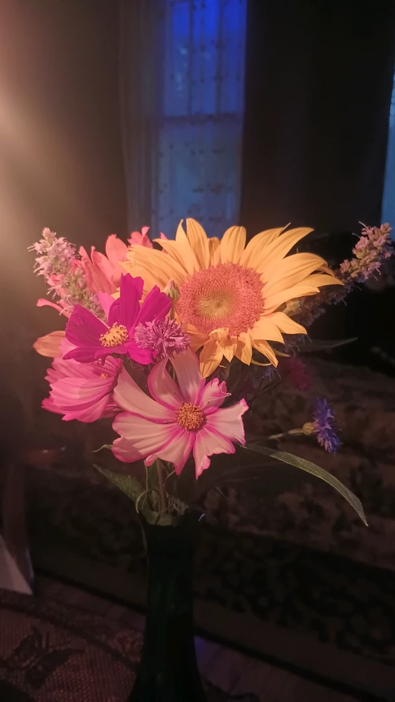 GIF įkėlė Luna