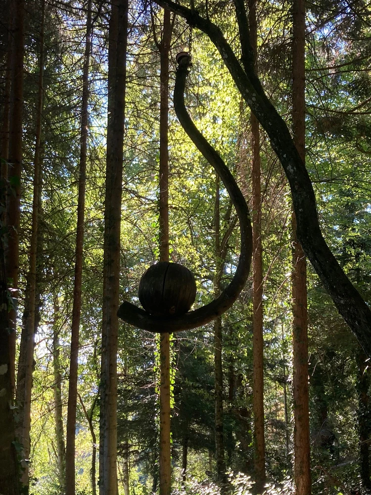 GIF lastet opp av ℳℴ𝓇𝓃𝒾𝓃ℊ𝓈𝓉𝒶𝓇