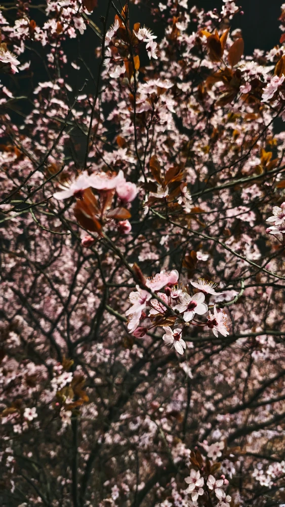 06:04a.m